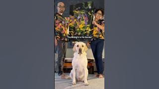 A fan-favorite masterpiece by Dali | Which part do you love the most? #dali #abstractart #dog
