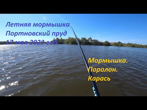 Летняя мормышка. Портновский