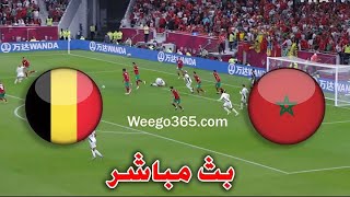 مشاهدة مباراة منتخب المغرب ومنتخب بلجيكا -بث مباشر المغرب الان -Morocco and Belgium