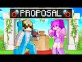 Nico proposes in minecraft