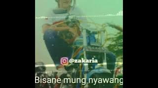 Bisane mung nyawang (cover buat story WA)