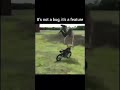 Bug Turns into a Feature 😉