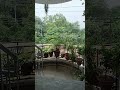 lucknow rain view #lucknow #rain #reels