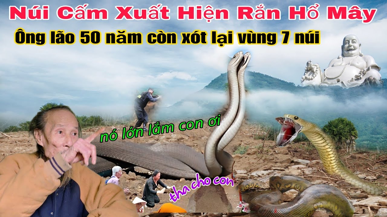 Bất ngờ phát hiện ông lão sống lâu nhất núi cấm từng chạm mặt thú dữ rắn hổ mây