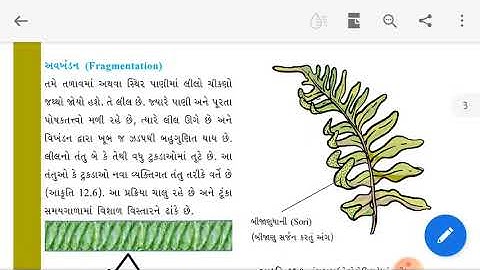 Std 7 science path 12 part 2 shreemad dayanand kanya vidhyalaya jamnagar