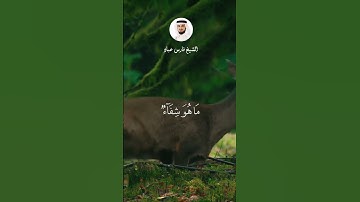 #فارس_عباد  #سورة_الإسراء الآية 82
