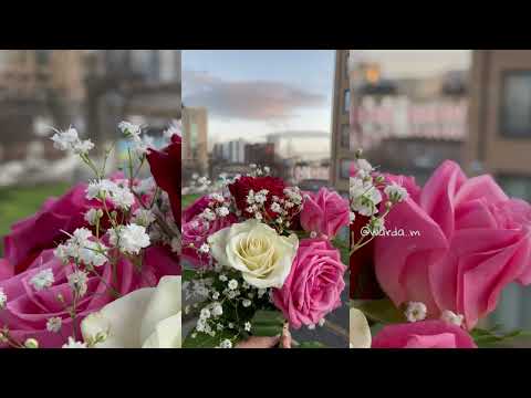 غاب عني بقالو يومين ولاء الجندي