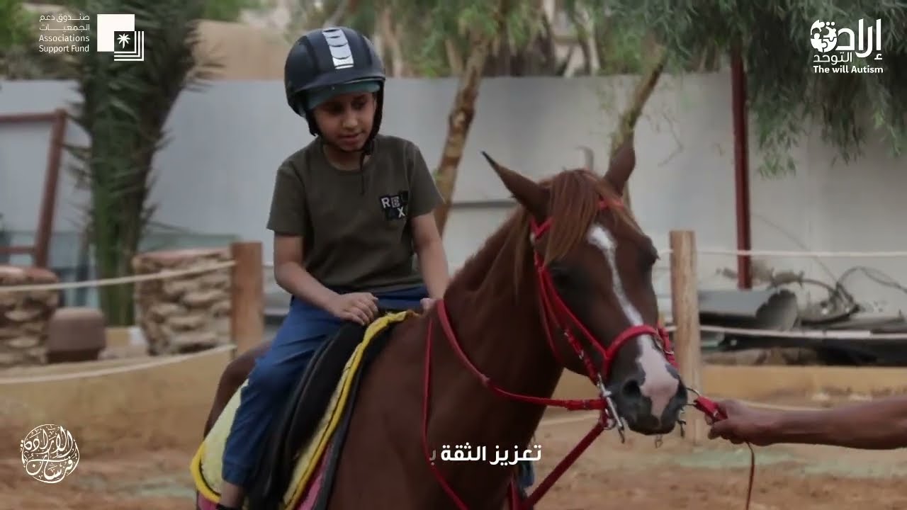 فرسان الإرادة