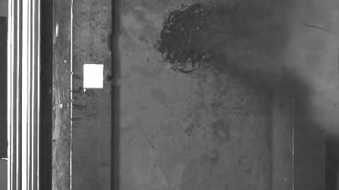 3-Bullet Penetration (Experiment)