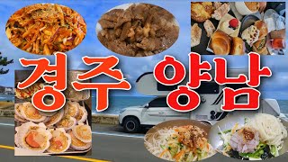 경주 양남 가족 캠핑 여행 브이로그 | 미주구리 회무침 | 물국수 | 한우 | 칠암사계 | 카페투어 | 빵지순례 | 조개구이