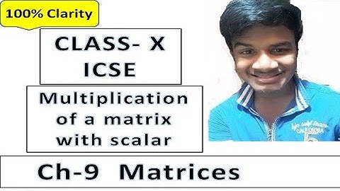 Matrices Class 10 ICSE | Multiplication of a matrix with scalar number | Selina Book | Full chapter