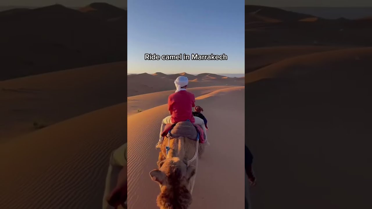 4 Best Things To Do In Morocco 