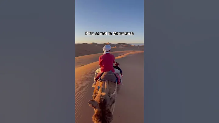 4 best things to do in Morocco🇲🇦