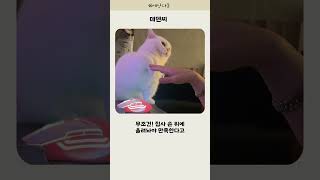 데덴찌 엎어라 뒤집어라