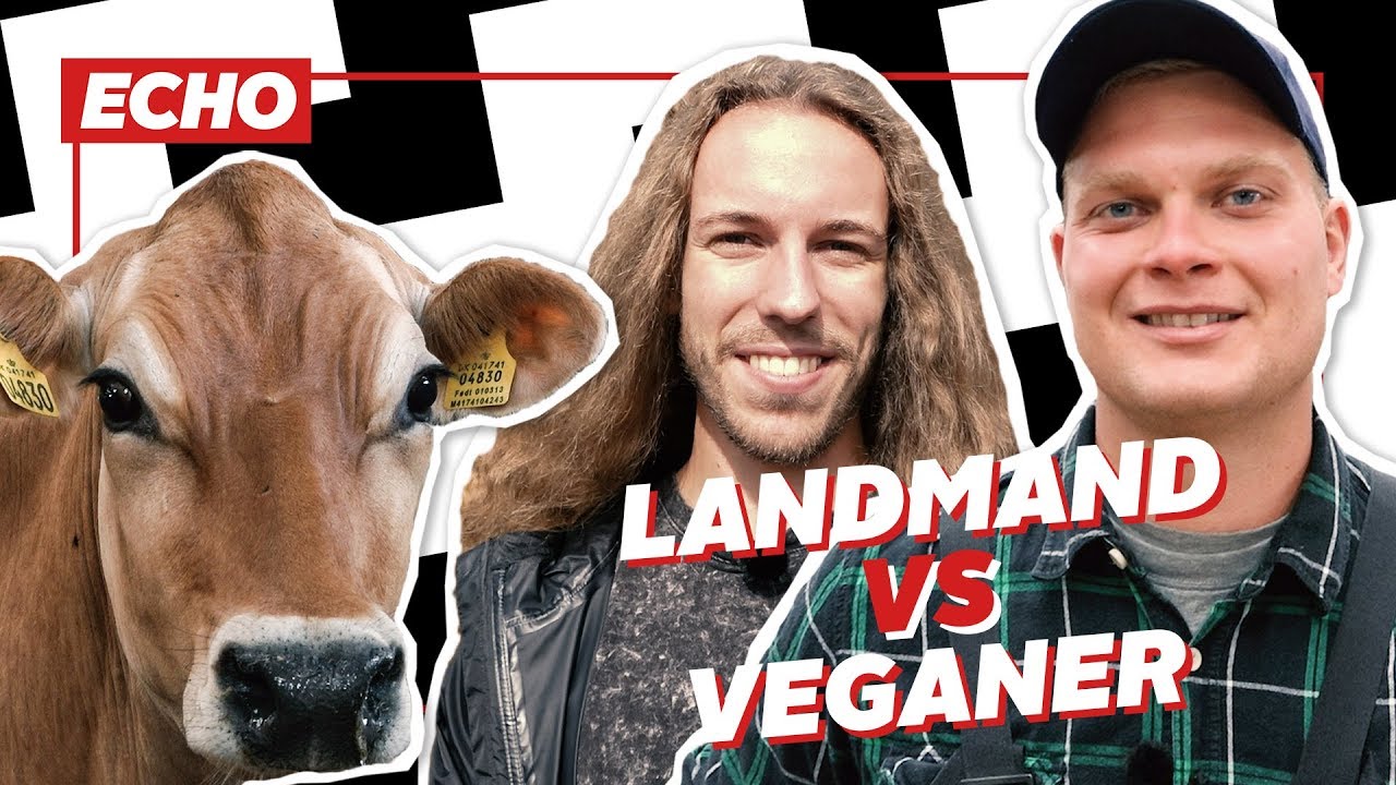 En landmand og en veganer snakker bæredygtighed