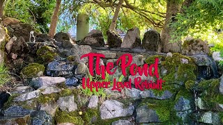 The Pond 101425