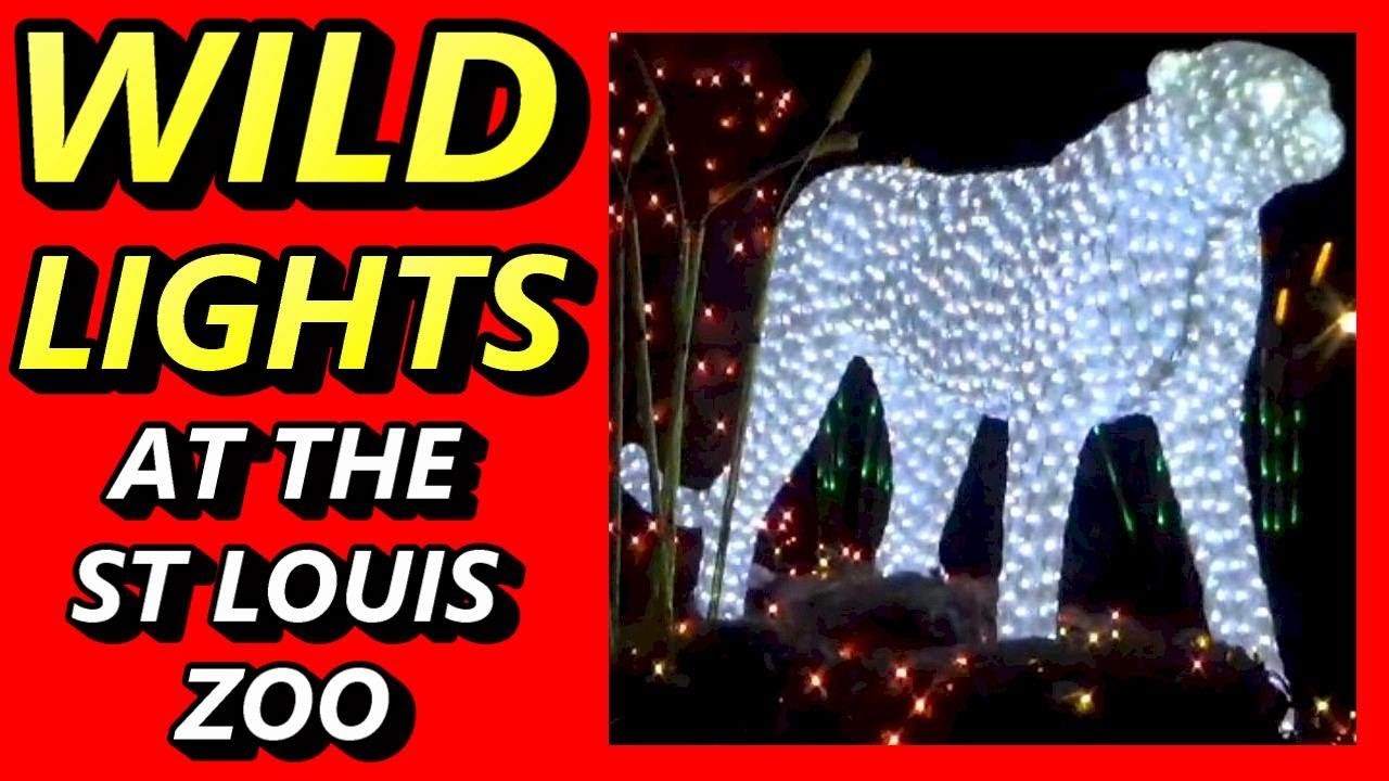 Wild Lights At The St Louis Zoo - Family Friendly Christmas Holiday Event 2017 By U.S. Bank #STL ...