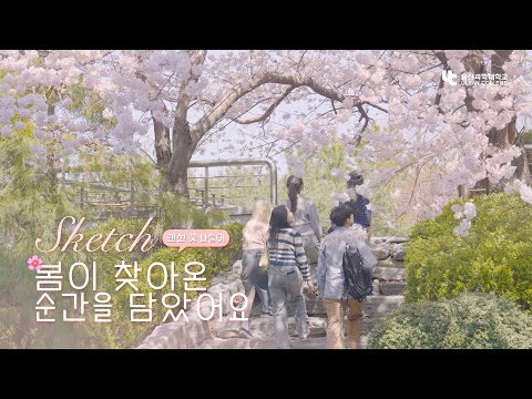 [4K] Unforgettable moment of the Spring with cherry blossoms, 2024 Ulsan College