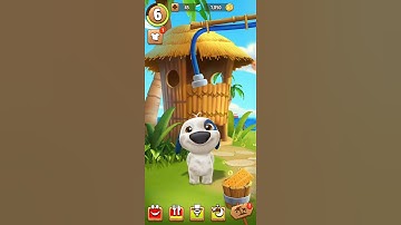 My Talking Hank New Video Best Funny Android GamePlay #400