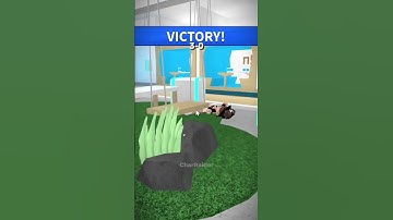 1v1 with a fan! 💕 || #roblox #capcut #edits #robloxedits #murdermystery2 #CharRaider