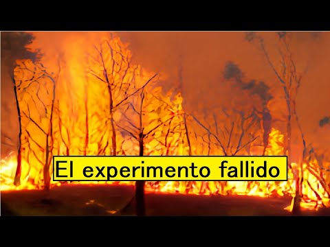 El experimento fallido [relato] - YouTube