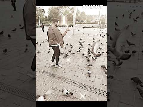 عادي تنساني وتروح حنين القصير