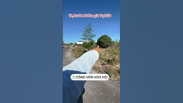 Hoa hội xuyên mộc BRVT #bbds #batdongsan #tintucbds