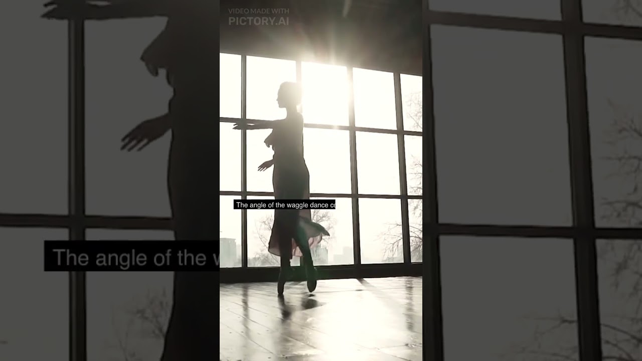 How Bees Communicate?