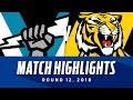 Download Port Adelaide v Richmond Highlights | Round 12, 2018 | AFL Port Adelaide v Richmond Highlights | Round 12, 2018 | AFL