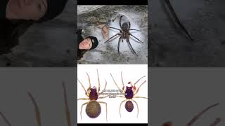 Touching It Is Crazy