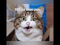 Thanks for 100 subs guys😭 The edit is here