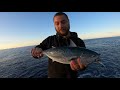 Light shore jigging - Little tunny