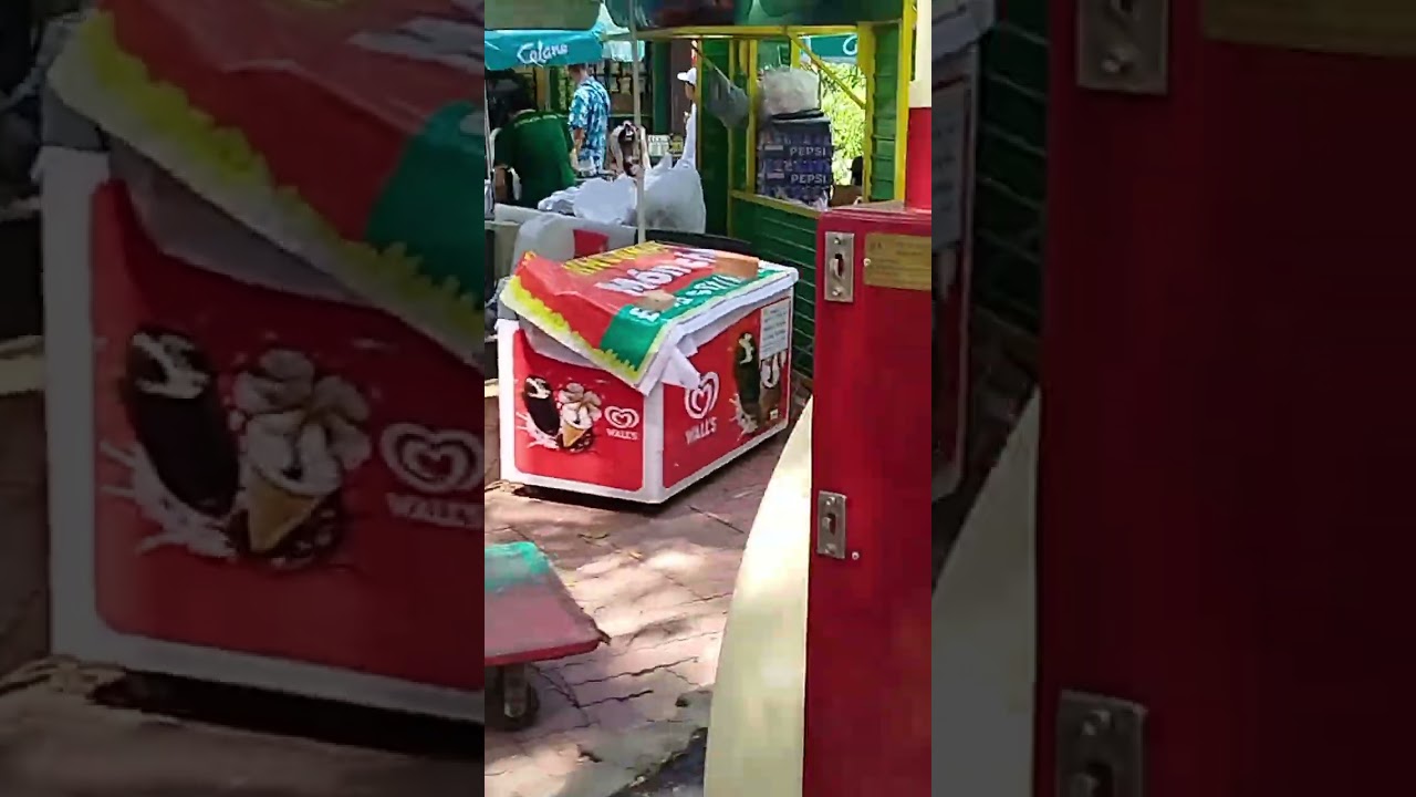 Mùng 1 tết thảo cầm viên 