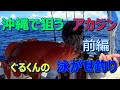 沖縄で狙うアカジン　ぐるくんの泳がせ釣り　前編
