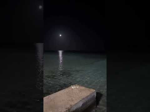 ان روحي تناجيها وعيني تسير اثر خطاها عبد الرحمن محمد بروحي فتاة تصميم اغاني ستوريات حالات