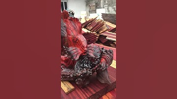 Cá xiêm - cá trọi - gỗ trắc việt giá xưởng tượng