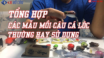 Tổng hợp những mẫu mồi câu cá lóc hiệu quả thường hay sử dụng nhất