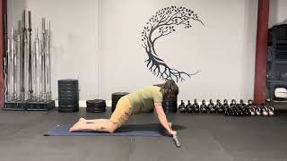 Ab Walkouts + Barbell Ab Roller