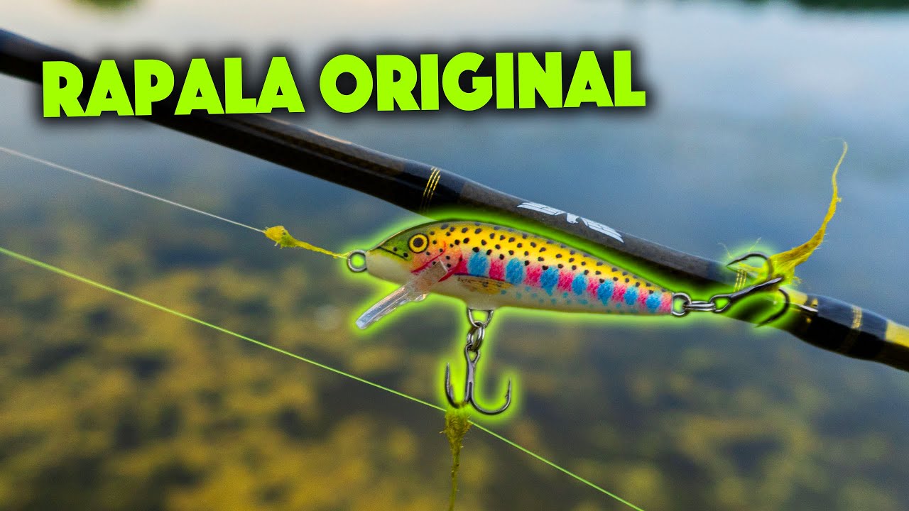 Bass Fishing With A RAPALA ORIGINAL Jerkbait! 