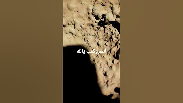 #تلاوة_خاشعة #تلاوة_هادئة #إسلام_صبحي #اسلام_صبحي #خواتيم_سورة_المؤمنون #سورة_المؤمنون #قرآن_كريم