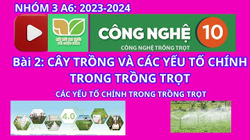 Bài 2: CÂY TRỒNG VÀ CÁC YẾU TỐ CHÍNH TRONG TRỒNG TRỌT #KTNN10