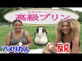 【海外の反応】《高級プリン・とろ～りかけ～るプリン》 American People Try Japanese Snacks vol.12