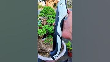 Dụng cụ làm vườn 9 món, cây cảnh bonsai #bonsaishop