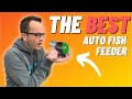 Top Five Best Automatic Fish Food Feeders For Saltwater & Freshwater Aquariums 2021- Feeding Rings