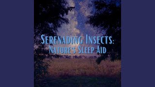 Bugs' Midnight Serenade