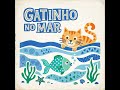 gatinho eo mar