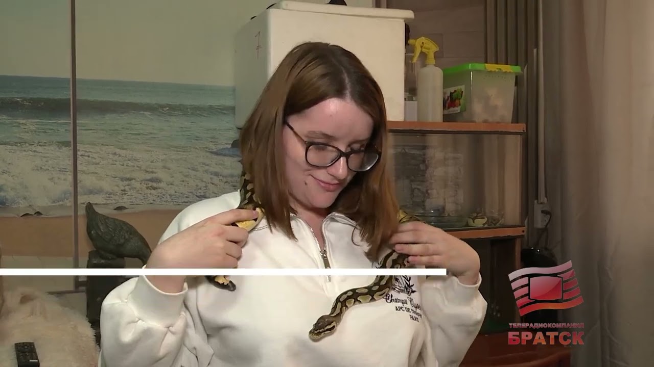 Факт вечерний выпуск от 06 03 2026