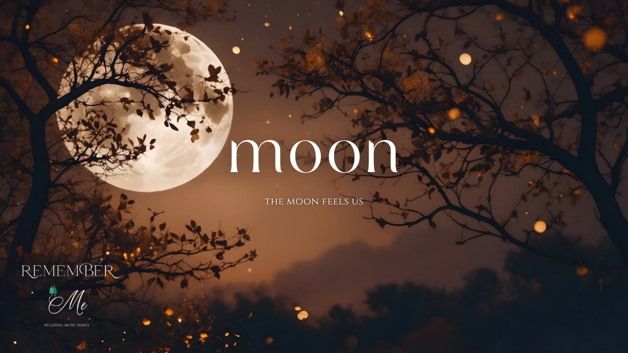 The Moon Feels Us 🌕🪾 Soft Piano for Late-Night Overthinking and Insomnia