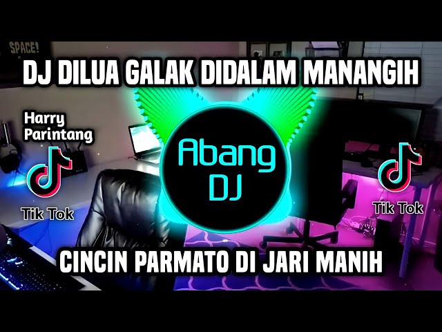 DJ CINCIN PARMATO DI JARI MANIH REMIX FULL BASS VIRAL TIKTOK TERBARU 2023 class=