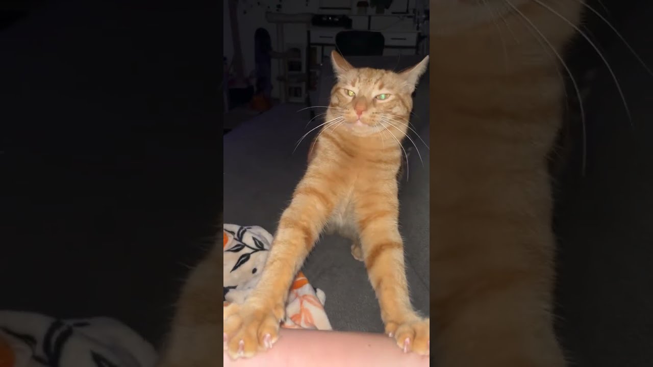 His Love Language Is Violence
